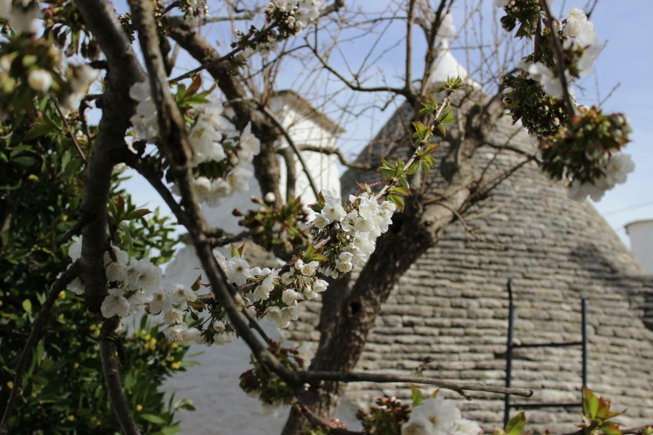 Trullo "Vicolo Fiorito" Villa Alberobello Luaran gambar